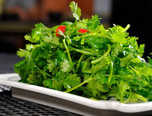 香菜是個寶，健胃消食營養豐富，可惜很多人不愛吃