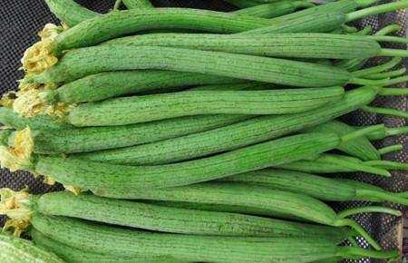 養生專家：女孩經常吃絲瓜，4個好處找上門