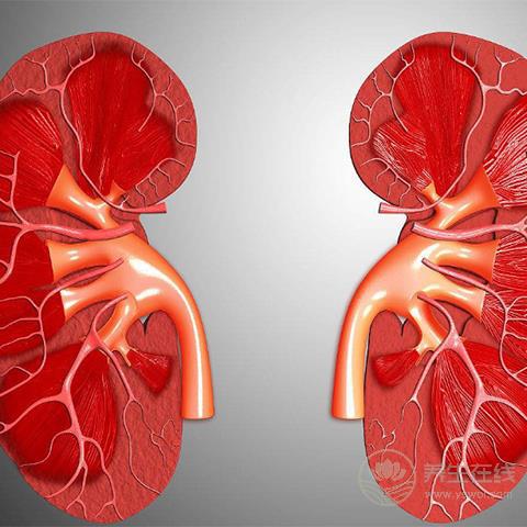 腎不好，別急著吃藥，這3種食物，能助你腎好人不倒