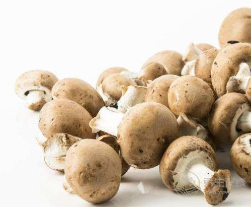 常吃3種食物能遠(yuǎn)離乳腺癌，每個(gè)女人都該了解