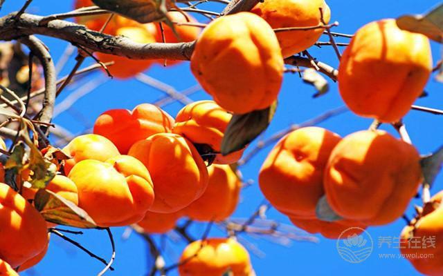 柿子不能和什么一起吃吃柿子有什么好處？