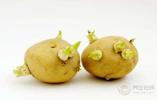 變綠發(fā)芽的土豆有毒，這幾種也不能吃