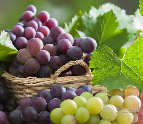 肝不好，這4種食物是養肝“高手”，不妨在家里多備些