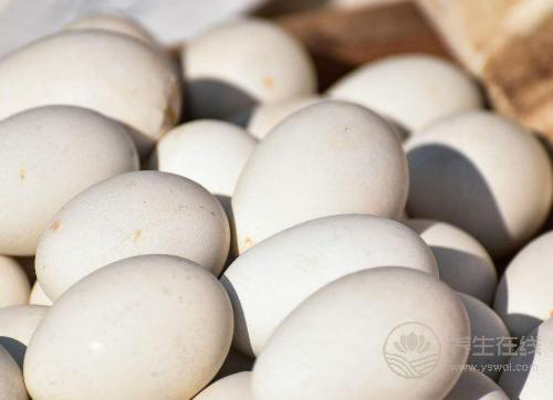 每一種“蛋”的營養都不一樣，別吃錯了