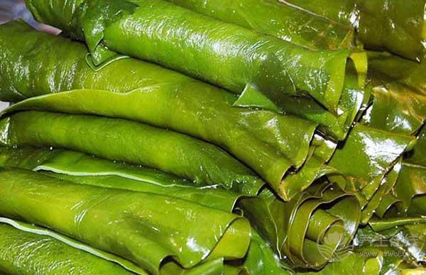 海帶對身體有很多好處，但是有2點需要注意