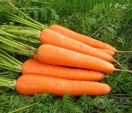 天氣寒涼吃點“小人參”補補,三大好處你知道嗎