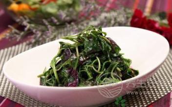 什么人不能吃莧菜,莧菜的營養價值