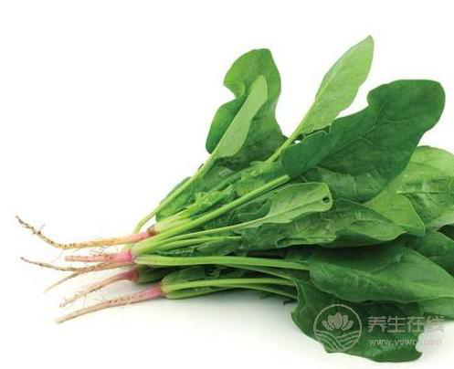 貧血吃什么？這4種食物補血效果不比紅棗差