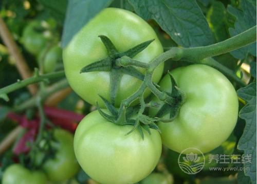 小心了！吃錯(cuò)這6種食物就像吃“砒霜”