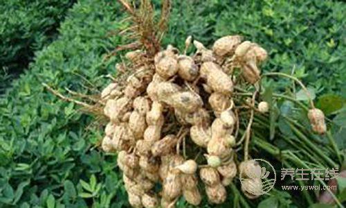 頭發老愛出油？4種食物幫你調理好