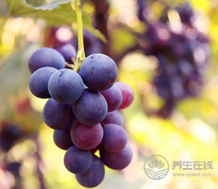 血液垃圾太多？別擔心，十種食物幫你凈化血液