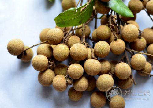 龍眼又甜又脆，還有這么多營養，怪不得那么多人喜歡