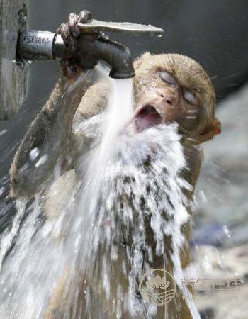 中和酸性體質(zhì)，堿性機能水抗癌真有效？