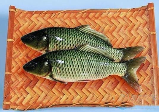 雞肉不能和什么一起吃雞肉的食用禁忌有哪些