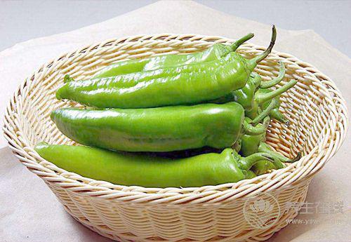 常吃青椒，對身體有這些好處，你知道嗎？