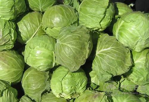 這幾種蔬菜是天然“胃藥”，胃不好可常吃