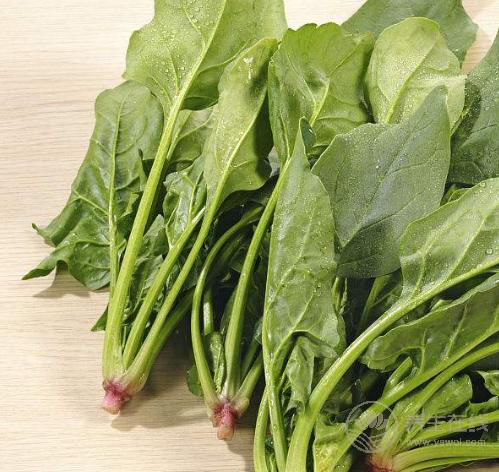 4種食物對肌膚有益，愛美的人別錯過