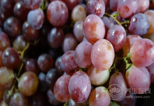 皮膚狀況太糟糕？試試這幾種食物，能讓皮膚更水潤(rùn)