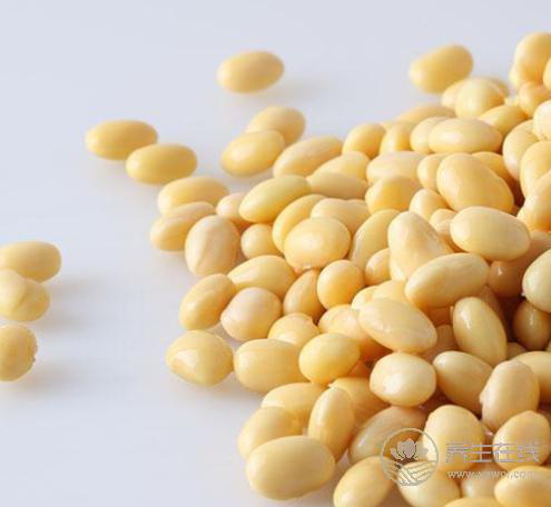 4種雜糧是抗癌“高手”，多吃對(duì)身體有益