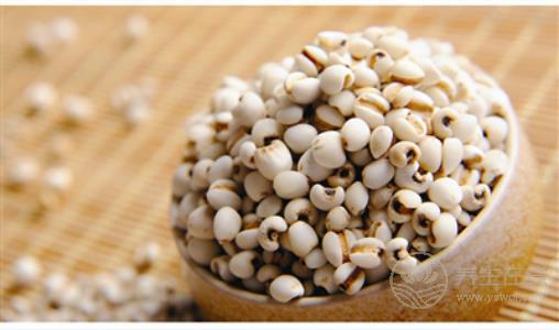 健脾祛濕不麻煩, 食療妙招來(lái)幫忙