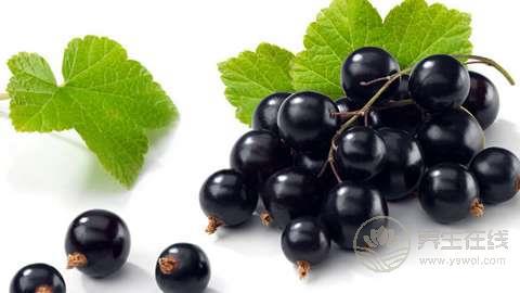 養胃水果有哪些？