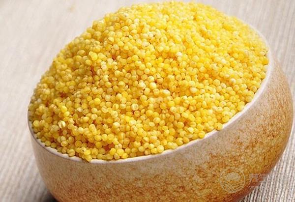 養(yǎng)胃食物大集合，吃到就是賺到了