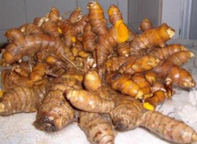 沒想到，生姜還有這么多品種，你都認(rèn)齊了嗎