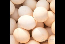 腎不好，別急著吃藥，這3種食物，能助你腎好人不倒