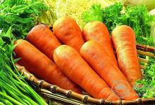 蘿卜是個好東西，但是不同的蘿卜有不同的功效，別吃錯了