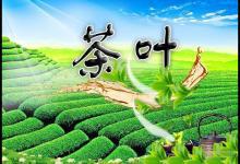 15種養(yǎng)生茶配方大全，你知道它們的功效嗎？