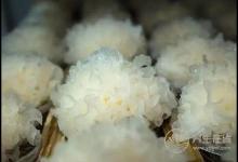 肝臟毒素多，可多吃這幾樣食物為肝排毒，菜市就有