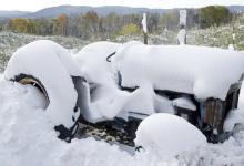 大雪養生|您不得不看的食療益氣補血養生法