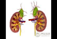 養(yǎng)腎護(hù)腎不讓腎氣外泄可多活三十年