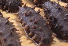 海參不能和什么一起吃？