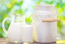 純牛奶不能和什么一起吃？什么牛奶最有營養(yǎng)？