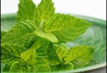 喉嚨不舒服，吃這4種食物有“奇效”