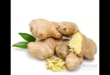 脾胃虛寒者注意，教你3種生姜的正確吃法，補(bǔ)身體常健康