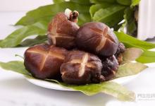 抽煙的人一定要看：4種清肺食物幫助保護您和家人的肺