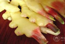 沒想到,生姜還有這么多品種,你都認齊了嗎