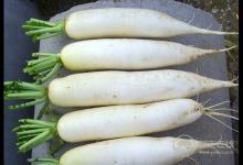 實用的買菜技巧，天天吃上新鮮菜