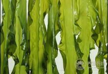 5種食物是高血糖的“天敵”，每天吃一點，血糖平穩不飆升