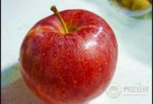 用這些水果做下午茶，更健康