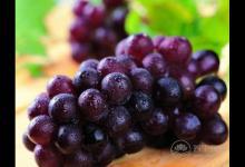 補血養(yǎng)顏就多吃這6種食物