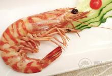 蝦不能和什么食物一起吃？