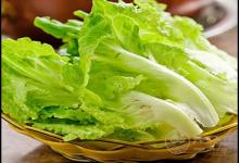 常吃生菜，對身體有這些好處，你知道嗎？