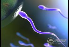 如何利用這些知識提高精子的質(zhì)與量