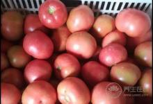 這幾種果蔬，能養(yǎng)肝，可常吃，別忽視了！