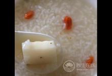 清腸健脾養胃，快用這些小妙招！