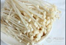 常吃金針菇，好處有這些，你懂嗎？