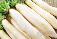 白蘿卜和西紅柿能一起吃嗎？白蘿卜和什么食物一起吃好？